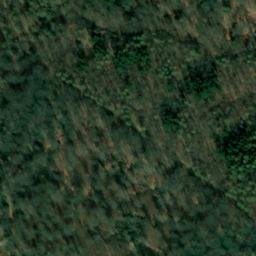 Satellite imagery of Schellkopf, DE