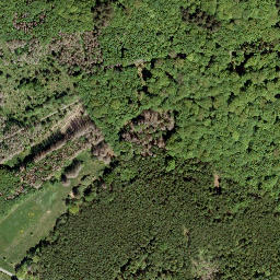 Satellite imagery of Grüner Hahn, DE