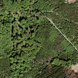 Satellite imagery of Grüner Hahn, DE