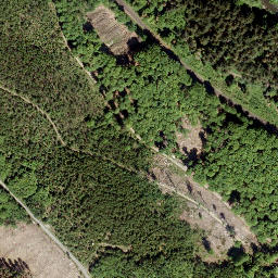Satellite imagery of Grüner Hahn, DE