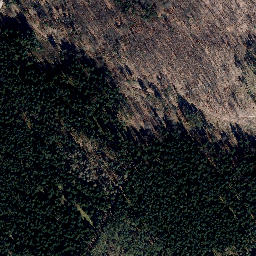 Satellite imagery of Buchenberg, DE