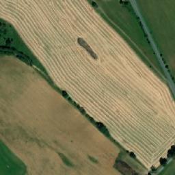 Satellite imagery of U borovice [Roprachtice] outlook t., CZ