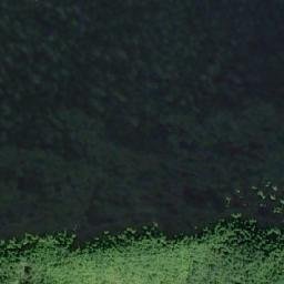 Satellite imagery of Flora Peak, CA