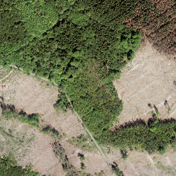 Satellite imagery of Grüner Hahn, DE