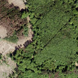 Satellite imagery of Grüner Hahn, DE