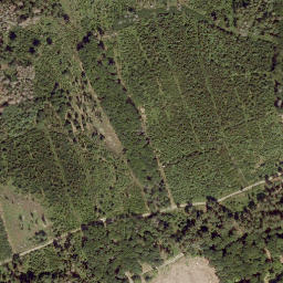 Satellite imagery of Buchenberg, DE