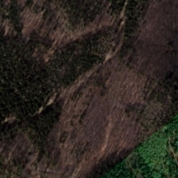 Satellite imagery of Javorový vrch [Heřmánkovice], CZ