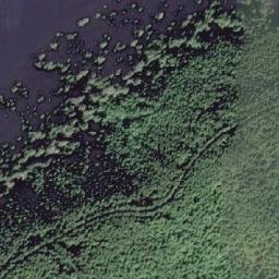Satellite imagery of Black Bluff, CA