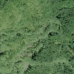 Satellite imagery of Flora Peak, CA