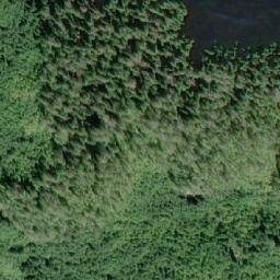 Satellite imagery of Flora Peak, CA
