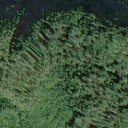 Satellite imagery of Flora Peak, CA