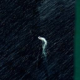 Satellite imagery of The Needles, GB