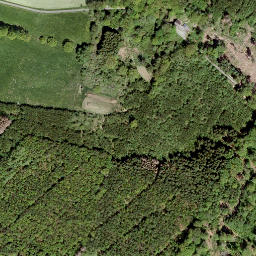 Satellite imagery of Grüner Hahn, DE