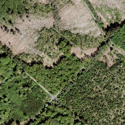 Satellite imagery of Grüner Hahn, DE