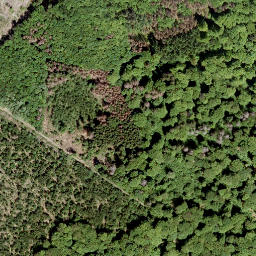 Satellite imagery of Grüner Hahn, DE