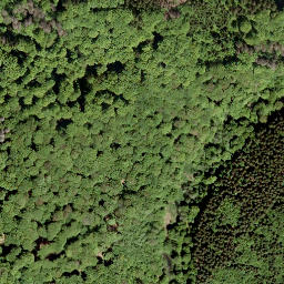 Satellite imagery of Gauls-Kopf, DE