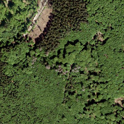 Satellite imagery of Gauls-Kopf, DE