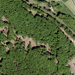 Satellite imagery of Gauls-Kopf, DE