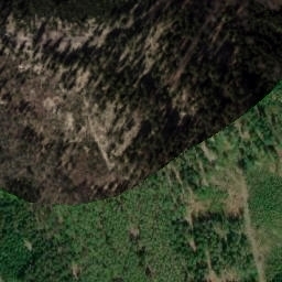 Satellite imagery of Javorový vrch [Heřmánkovice], CZ