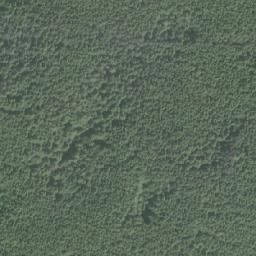 Satellite imagery of Black Bluff, CA