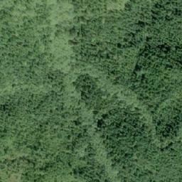 Satellite imagery of Flora Peak, CA