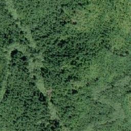 Satellite imagery of Flora Peak, CA