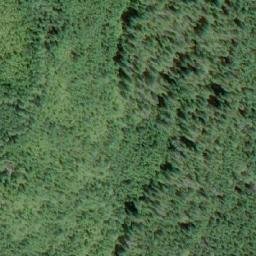 Satellite imagery of Flora Peak, CA