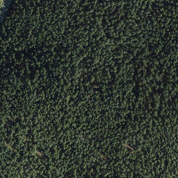 Satellite imagery of McPherson Hill, CA