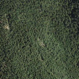 Satellite imagery of McPherson Hill, CA