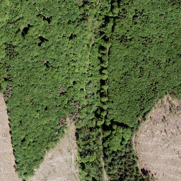 Satellite imagery of Gauls-Kopf, DE