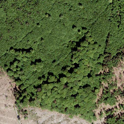 Satellite imagery of Gauls-Kopf, DE