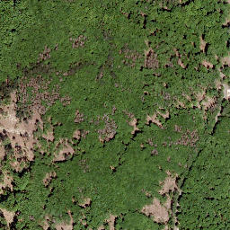 Satellite imagery of Gauls-Kopf, DE