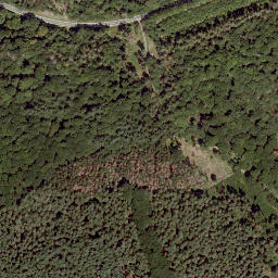 Satellite imagery of Buchenberg, DE