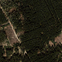 Satellite imagery of Trig point near Saale-Orla-Kreis, Thuringia (DE), DE