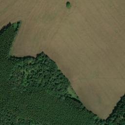 Satellite imagery of Schelmberg, DE