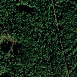 Satelita