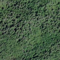 Satellite imagery of Tree Point, CA