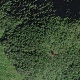 Satellite imagery of Camp Peak, CA