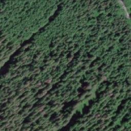 Satellite imagery of Mount Sparshott, CA