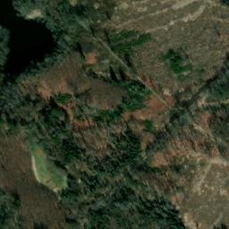 Satellite imagery of Dachsberg, DE