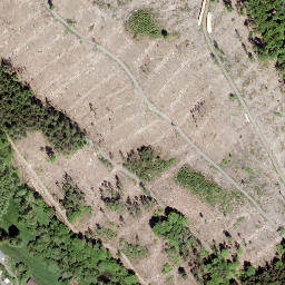 Satellite imagery of Gauls-Kopf, DE
