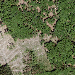 Satellite imagery of Gauls-Kopf, DE