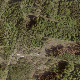 Satellite imagery of Buchkopf, DE