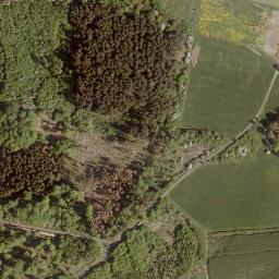 Satellite imagery of Buchkopf, DE