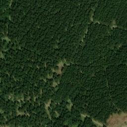 Satellite imagery of Unterer Beerberg, DE