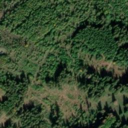 Satellite imagery of Vorderer Brandkopf, DE