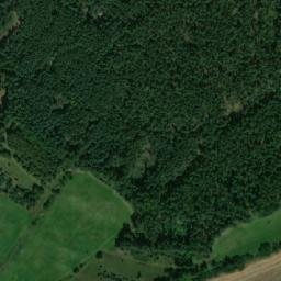Satellite imagery of Posed Čihadlo [Všelibice] bryony, CZ