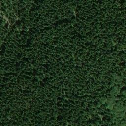 Satellite imagery of Dvorský les, CZ