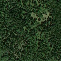 Satellite imagery of Dvorský les, CZ
