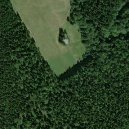Satellite imagery of Dvorský les, CZ